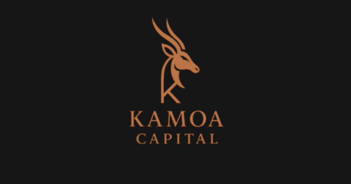 The Drill Down by Kamoa Capital.